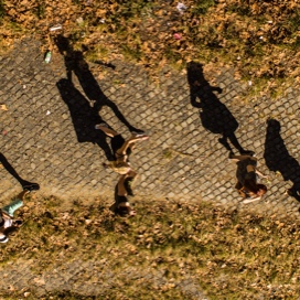 overhead view of students walking